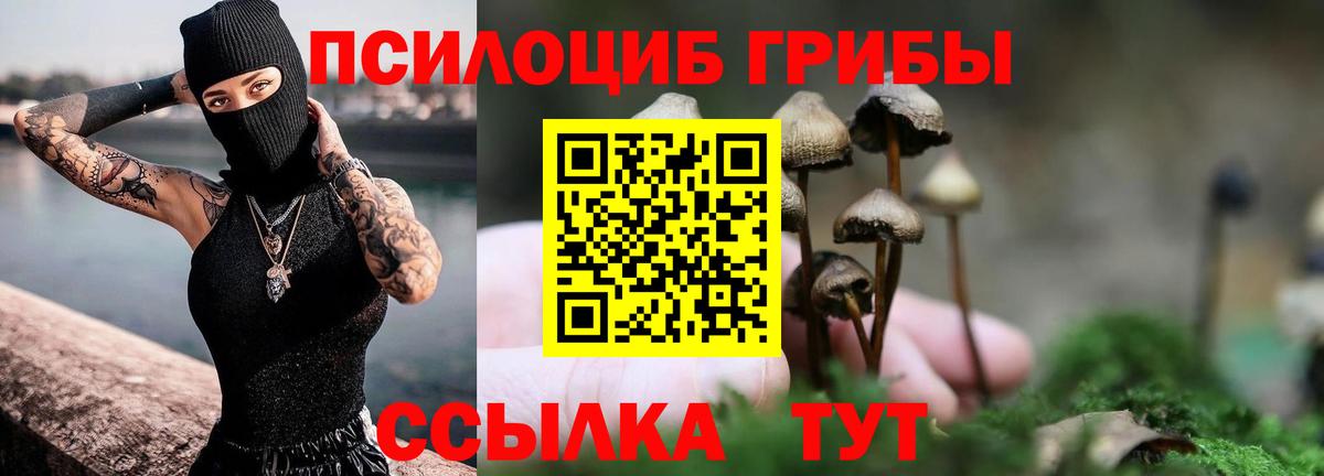 Галлюциногенные грибы Psilocybine cubensis  Псилоцибиновые грибы Psilocybe  Вход с VPN  Первоуральск 